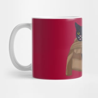 black cat and pumpkin Mug